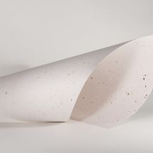 Cartulina sustentable color blanco con cacao